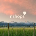 The 12 best beers from our Winter magazine