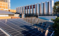 Lion releases sustainability performance report