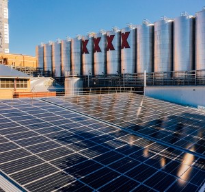 Lion releases sustainability performance report