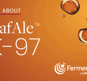 Recipe of the week: Scottish mild ale