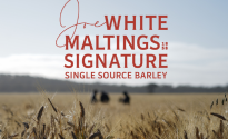 The finest sustainable barley of 2023