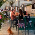Future Brewing opens in Sydney’s Inner West