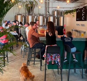 Future Brewing opens in Sydney’s Inner West