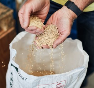 John Palmer’s tips for gluten free brewing