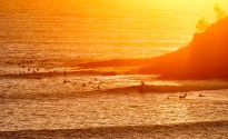 Ale Trails: The Sunshine Coast & Noosa