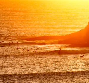Ale Trails: The Sunshine Coast & Noosa