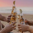 The new wave of local Mexican beer