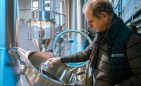 Selecting the best lager yeast