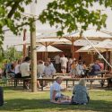 Napoleone Cider Festival returns for 2024