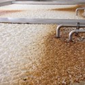 Unlocking the flavour code of yeast