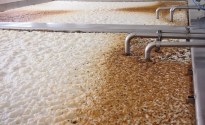 Unlocking the flavour code of yeast