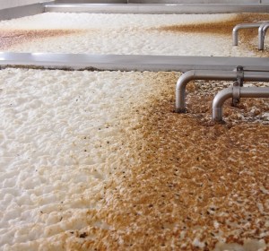 Unlocking the flavour code of yeast
