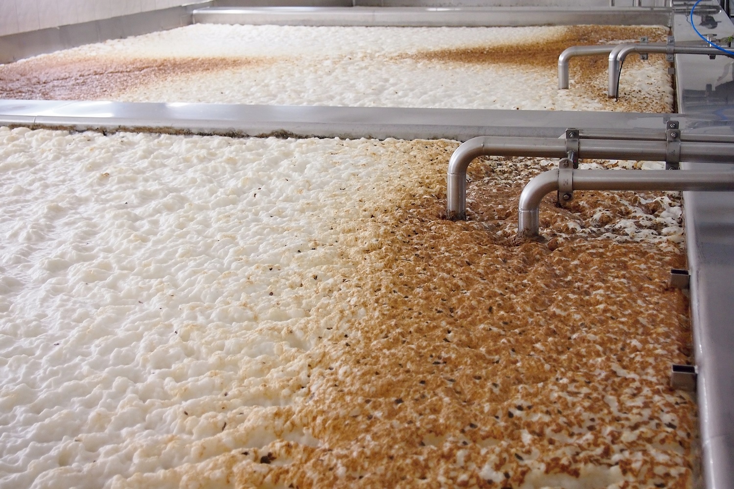 Unlocking the flavour code of yeast - Beer & Brewer