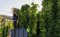 Independent Brewers Association welcomes five new Board Directors