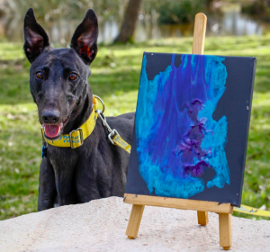 Greyhound art auction returns to Yulli’s Brews