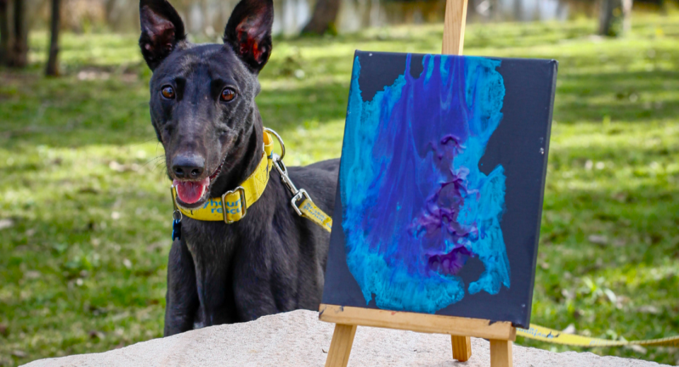 Greyt Masters
