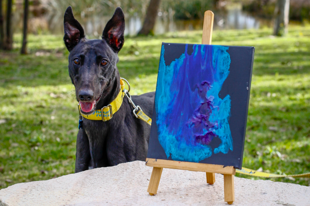 Greyt Masters