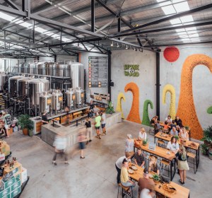 New data puts beer consumption back in growth