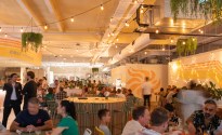 Brookvale breweries launch Brookie Brights festivities