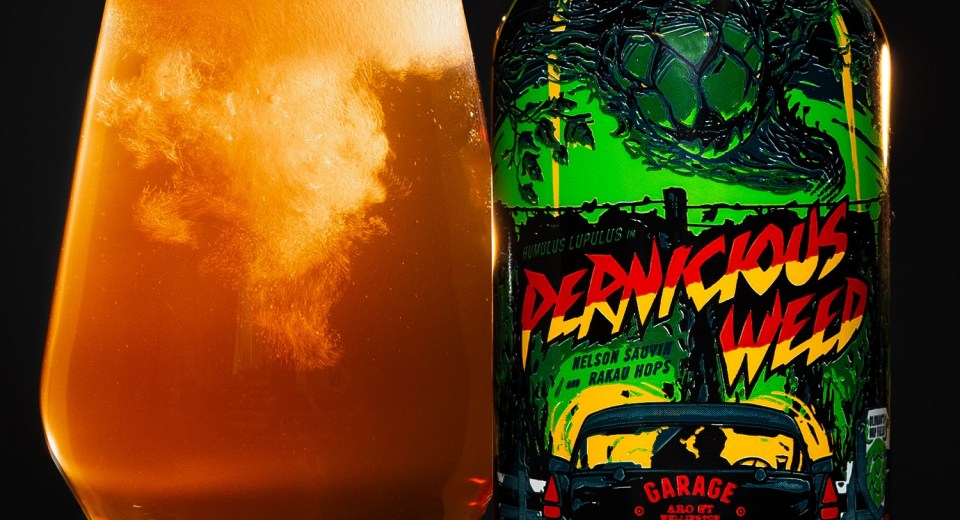GABS Hottest Kiwi Beers