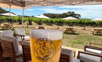 Little Pete showcases Langhorne Creek with new open-air bar