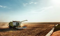 Grains Australia highlights opportunities in global grains markets