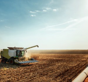 Grains Australia highlights opportunities in global grains markets