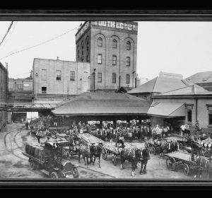 Tooth & Company archives added to UNESCO World Register
