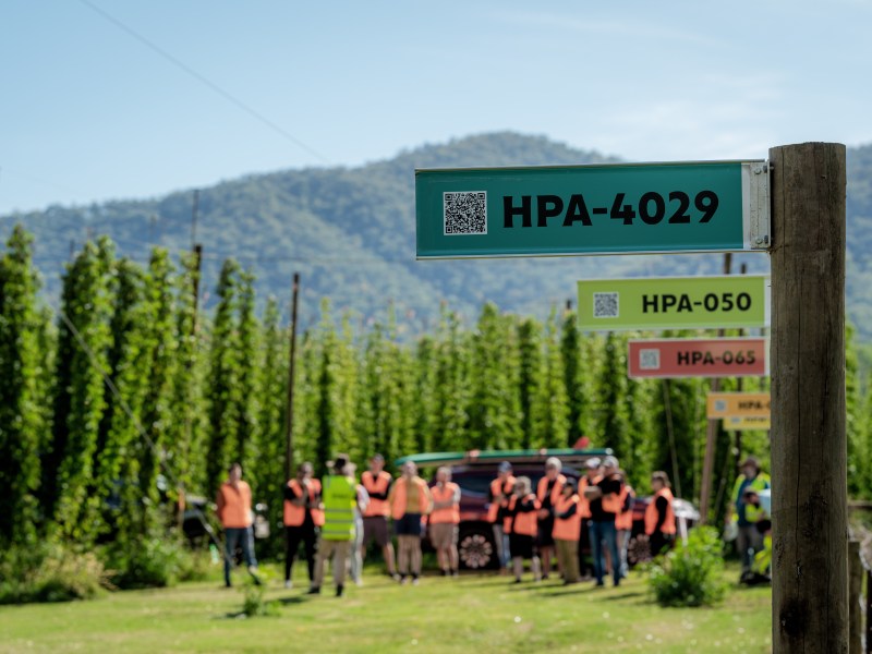 James Davidson, Hop Breeding Garden