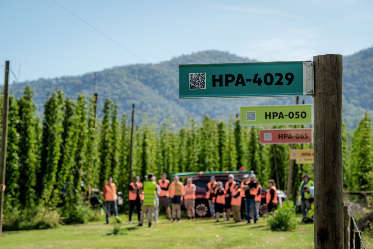 James Davidson, Hop Breeding Garden