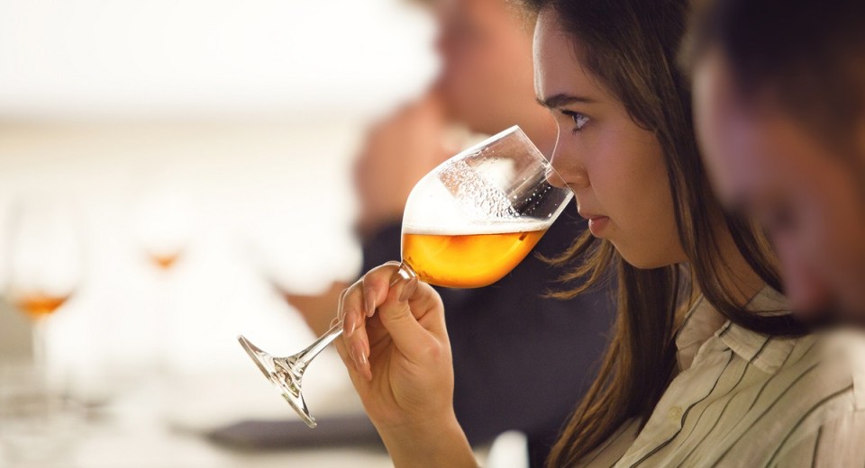 guide entering beer competitions