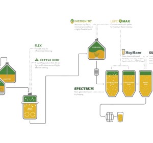 HPA process first harvest through new Hop Central facility