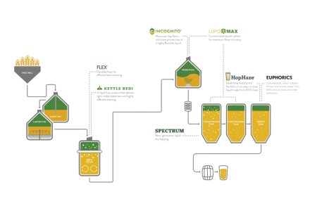 Brew better with HPA’s liquid hops
