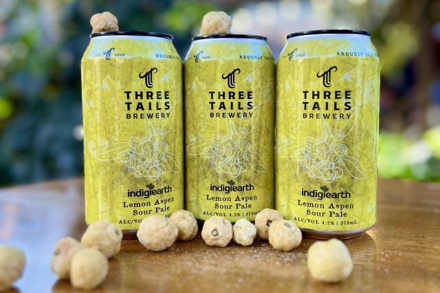 Three Tails Brewing Lemon Aspen Sour Pale