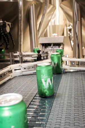 White Bay Brewery 