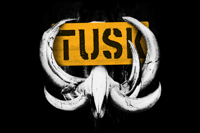 Feral Brewing’s TUSK Day returns