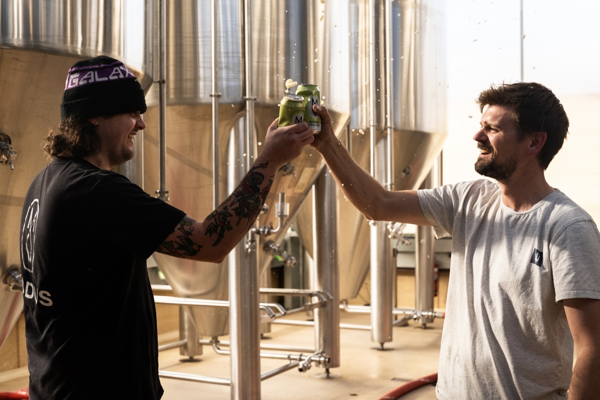 Modus Brewers series